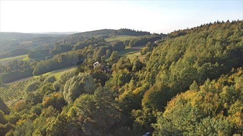 Działka leśna na sprzedaż Ryglice, Wola Lubecka 18 566m2 Foto 6
