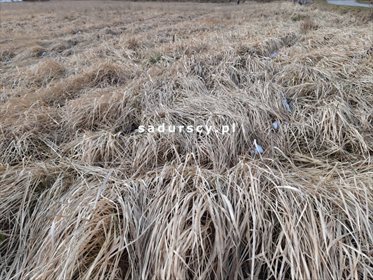 działka na sprzedaż 10006m2 działka Kaszów