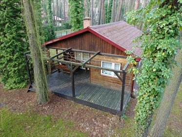 działka na sprzedaż 1569m2 działka Sokolniki-Las, Łódzka