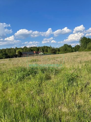 działka na sprzedaż 3444m2 działka Stare Budy