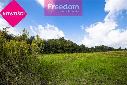 Działka budowlana na sprzedaż Wólka Hyżneńska 3 032m2 Foto 5