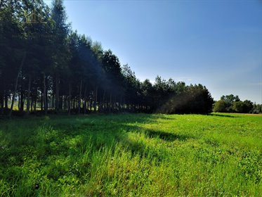 działka na sprzedaż Ostrów 1121 m2