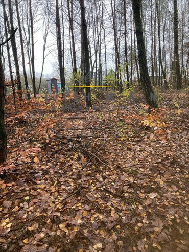 Do sprzedania działka 3300 m² z lasem i możliwością zabudowy działka Ignatów