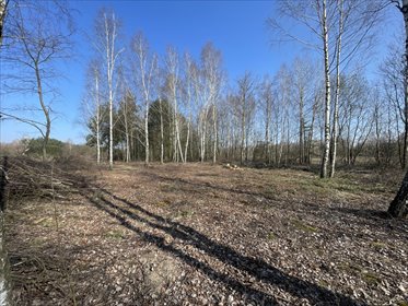Działka rolna na sprzedaż Jedlicze A, Długa 3 000m2 Foto 4