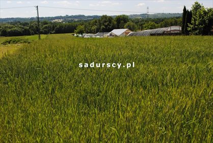 Działka budowlana na sprzedaż Wielkie Drogi 8 900m2 Foto 3