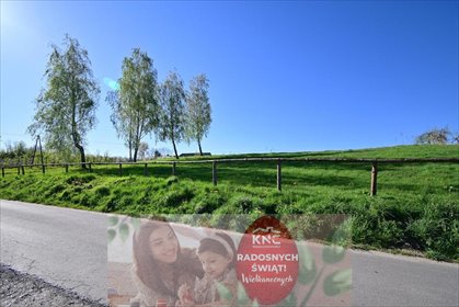 działka na sprzedaż 3500m2 działka Karczmiska Pierwsze