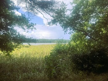 Działka 3525 m² z dostępem do jeziora Witoczno (Swornegacie) działka Swornegacie