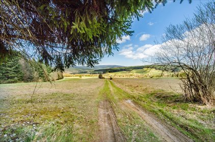 działka na sprzedaż 80000m2 działka Skwirtne