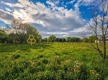 Duża działka 4410 m² z planem zagospodarowania, media, spokojna okolica działka Sosnowiec