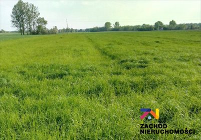 Działki budowlane w Przytoku (999 m², media, warunki zabudowy) działka Przytok