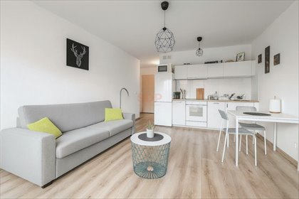 mieszkanie na sprzedaż 41m2 mieszkanie Wrocław, Psie Pole, Lipa Piotrowska, Kminkowa