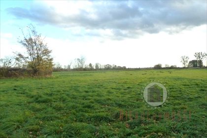 działka na sprzedaż 1160m2 działka Bogdaniec