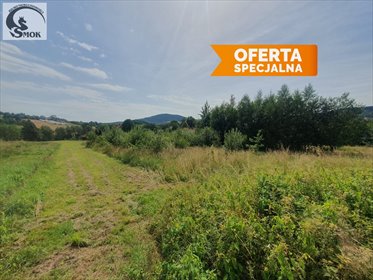 działka na sprzedaż 3100m2 działka Żegocina