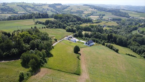 Widokowa działka 17 arów z warunkami zabudowy, blisko natury działka Zborowice