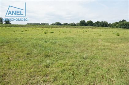 Działka rolna na sprzedaż Mikołów, Paniowy 3 260m2 Foto 4