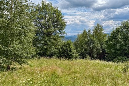 Widokowa działka 4634 m² w Ochotnicy – cisza i natura działka Ochotnica Dolna