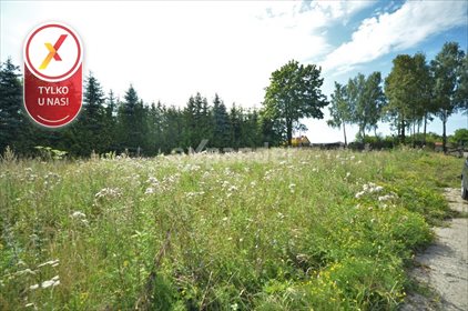 Lokal użytkowy na sprzedaż Fasty, Szosa Knyszyńska 4 907m2 Foto 3