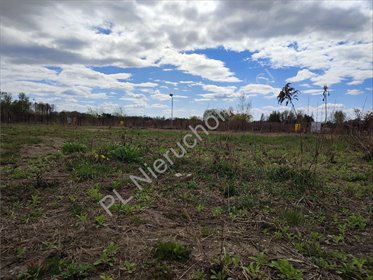 działka na sprzedaż 1500m2 działka Szczęsne