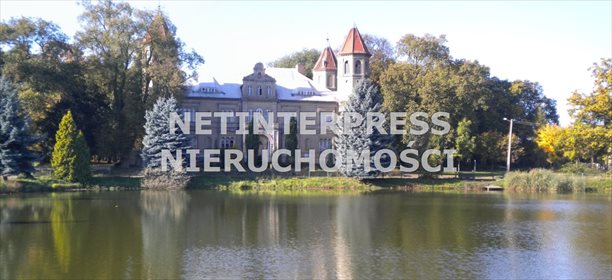 Lokal użytkowy na sprzedaż Dąbrówka Wielkopolska 4 500m2 Foto 7