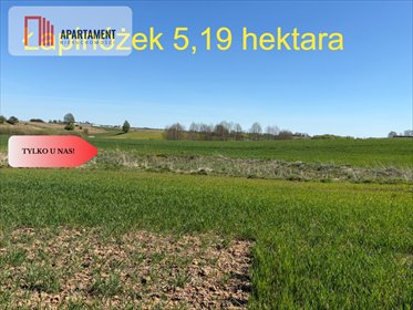 Działka rolna 5,19 ha w Łapinóżku, spokojne tereny - polecam! działka Łapinóżek