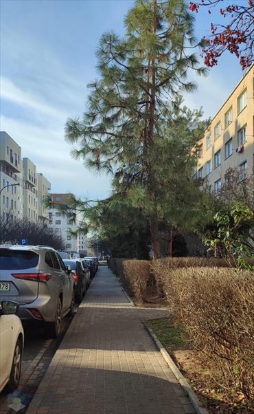 mieszkanie na sprzedaż 49m2 mieszkanie Warszawa, Wola, Ulrychów, Szulborska