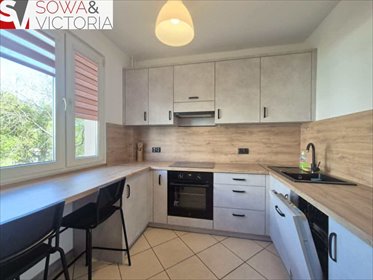 mieszkanie na wynajem 60m2 mieszkanie Świebodzice