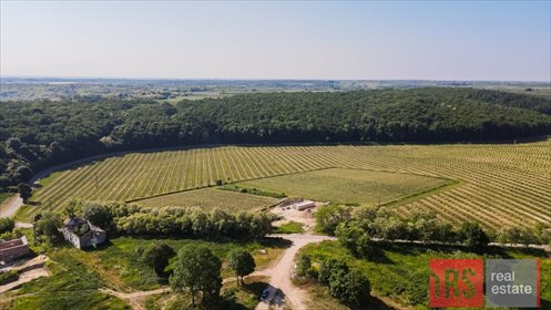 Działka inwestycyjna na sprzedaż Czyżów Szlachecki 23 730m2 Foto 6