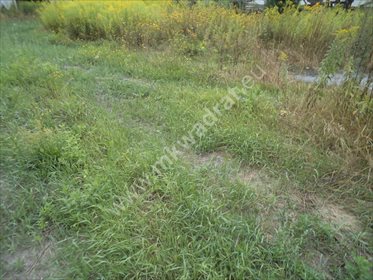 działka na sprzedaż 4222m2 działka Warszawa, Bielany