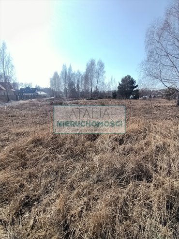 Zapraszam do zakupu działki 4200 m² w Mościskach - idealna inwestycja działka Mościska