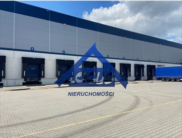 Magazyn 7400 m² z biurem, dokami i temperaturą. magazyn Ołtarzew