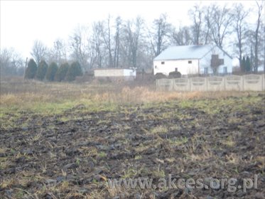 działka na sprzedaż 17986m2 działka Grodzisk Mazowiecki, Grodzisk Mazowiecki