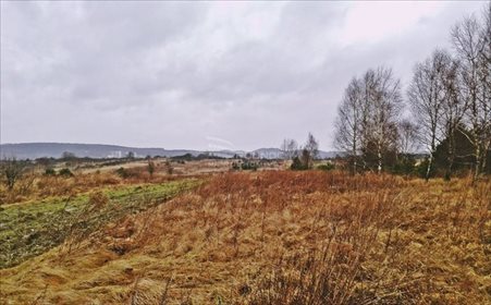 działka na sprzedaż 4200m2 działka Bydlin