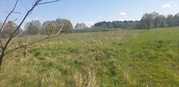 Działka 10 744 m² z warunkami zabudowy (Józefów) działka Józefów, Józefów gmina Dąbrówka