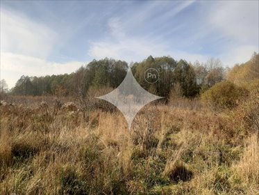 działka na sprzedaż 6806m2 działka Ostrów