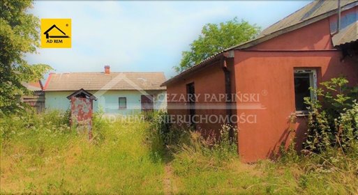 Siedlisko 80 m² z budynkami i dużą działką (0,7 ha) lokal użytkowy Kiełczewice Górne, Kiełczewice