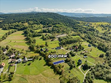 Zapraszam do zakupu działki 600 m² w Kasina Wielka z potencjałem działka Kasina Wielka