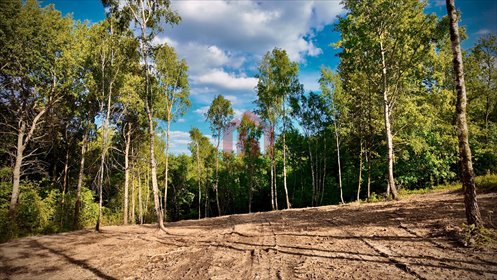 działka na sprzedaż 2000m2 działka Malawa