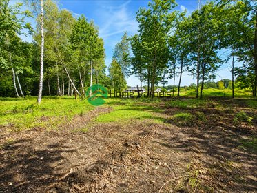 Działka 2600 m² z lasem, media, zabudowa Janinów polecam działka Janinów