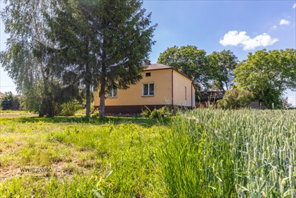 Dom z dużą działką i budynkami gospodarczymi w Franciszkowie dom Świdnik, Franciszków