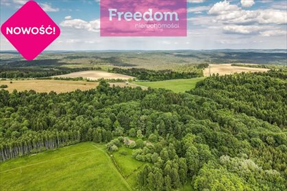 Działka rekreacyjna na sprzedaż Borownica 25 700m2 Foto 5