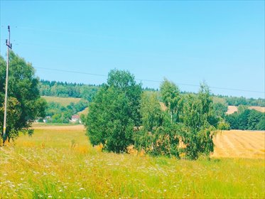 działka na sprzedaż 5500m2 działka Kielce, Bodzentyn