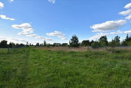 Działka rekreacyjna na sprzedaż Ostrowsko 982m2 Foto 5