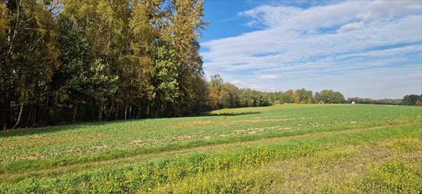 Działka rolna z udziałem w lesie – inwestycja i kontakt z naturą działka Kończyce Wielkie, Długa