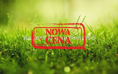 Działka komercyjna na sprzedaż Rybnik, Meksyk 11 783m2 Foto 1