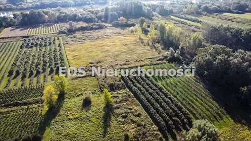 działka na sprzedaż 57200m2 działka Koprzywnica, Kamieniec Wisłocki