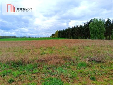 Do sprzedania działka 1022 m² z WZ w Morzewcu działka Morzewiec, Leśna