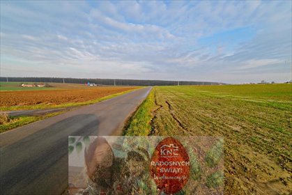 działka na sprzedaż 2800m2 działka Zemborzyce Podleśne