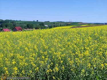 działka na sprzedaż 4900m2 działka Węgrzce