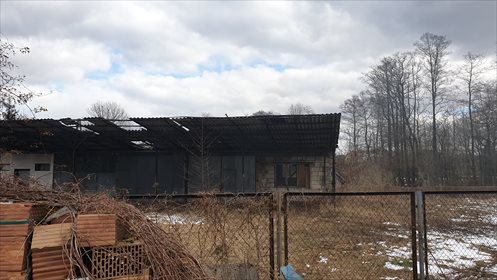 Działka komercyjna na sprzedaż Dzikowiec 1 700m2 Foto 3