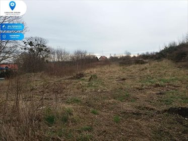 działka na sprzedaż 3938m2 działka Dębogórze, Kościół, Las, Przedszkole, Przystanek autobusowy,, Pomorska